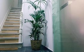 Cozy Rooms With Share The Bathroom And Kitchen